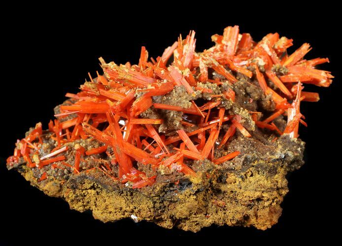 Bright Orange Crocoite Crystals - Tasmania #62886